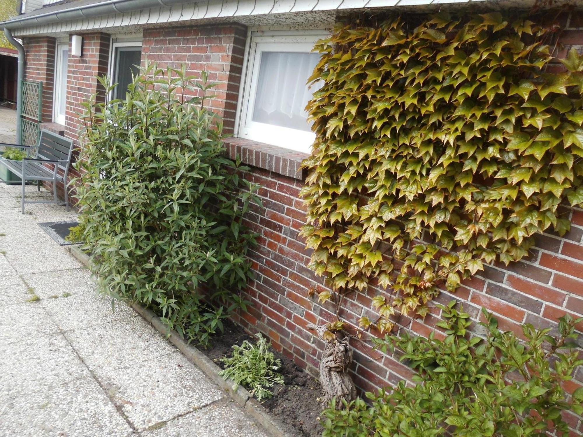 Moewennest Villa Neuharlingersiel Exterior foto